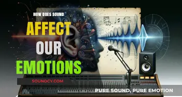 The Power of Sound: Unlocking Emotions Through Auditory Stimuli