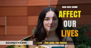 The Power of Sound: Shaping Emotions, Health, and Daily Experiences
