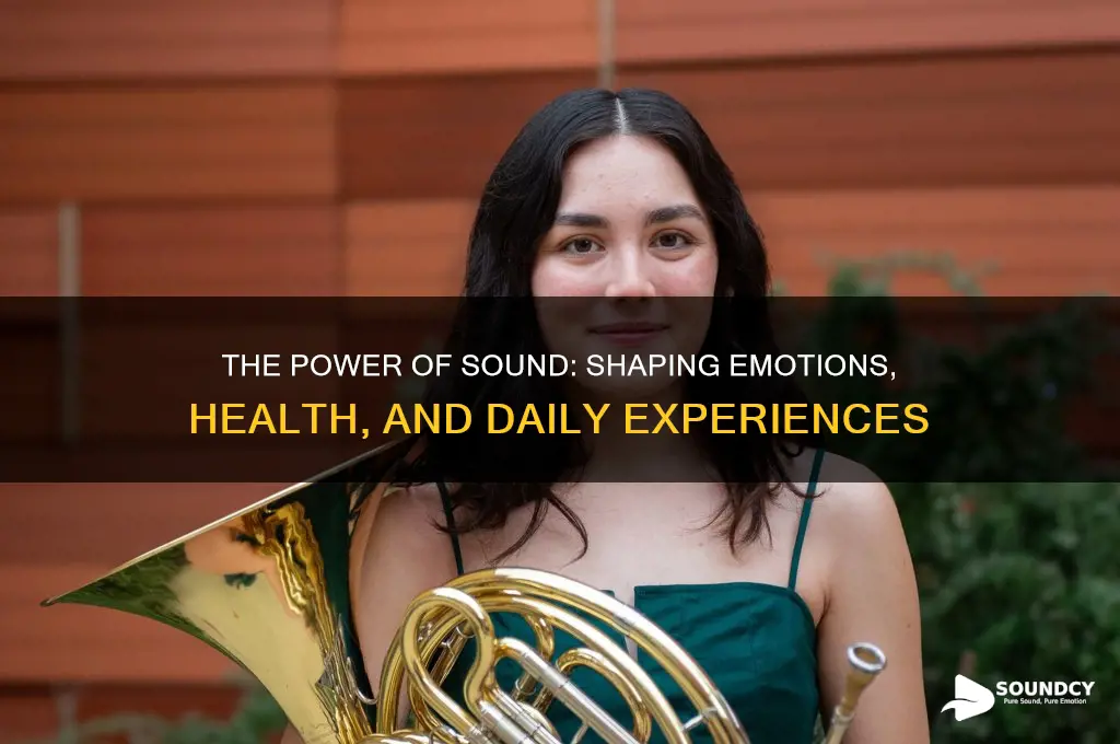 how does sound affect our lives