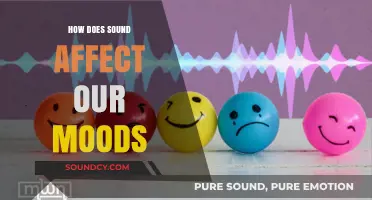 The Power of Sound: How Audio Influences Our Emotional States