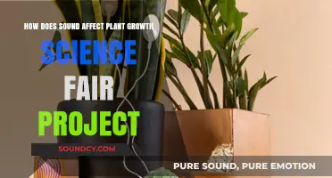 Exploring Sound's Impact on Plant Growth: A Science Fair Experiment