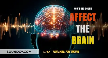 The Power of Sound: How Audio Impacts Brain Function and Emotion