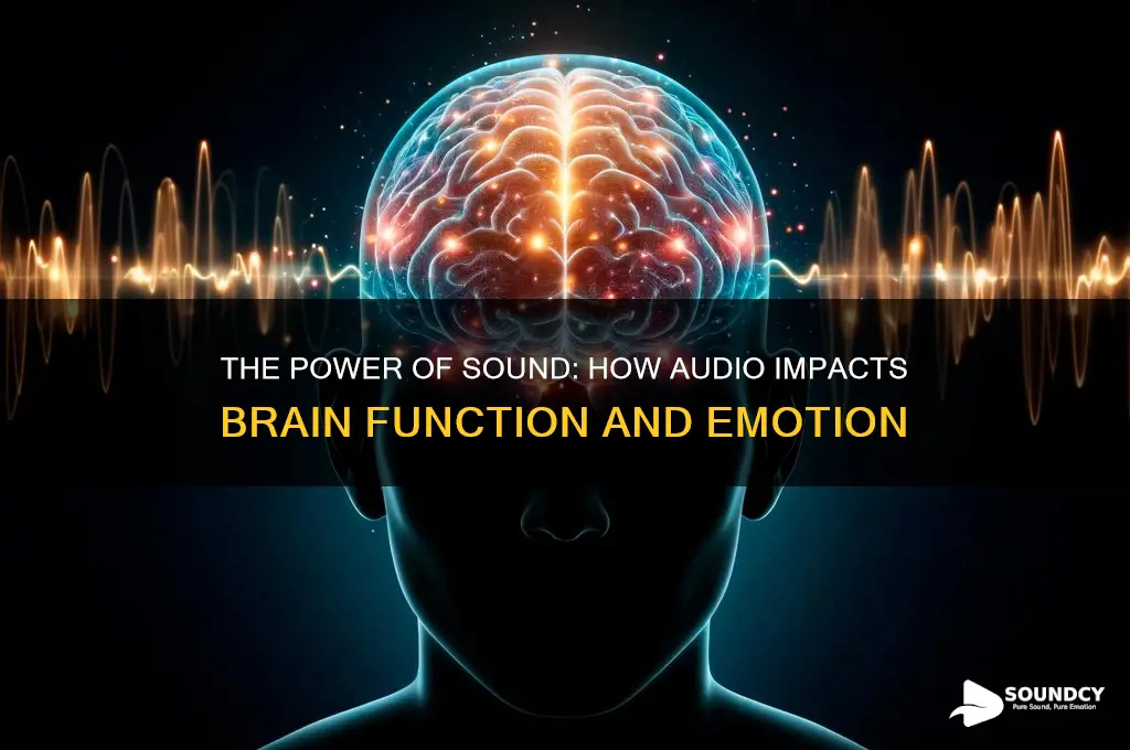 how does sound affect the brain