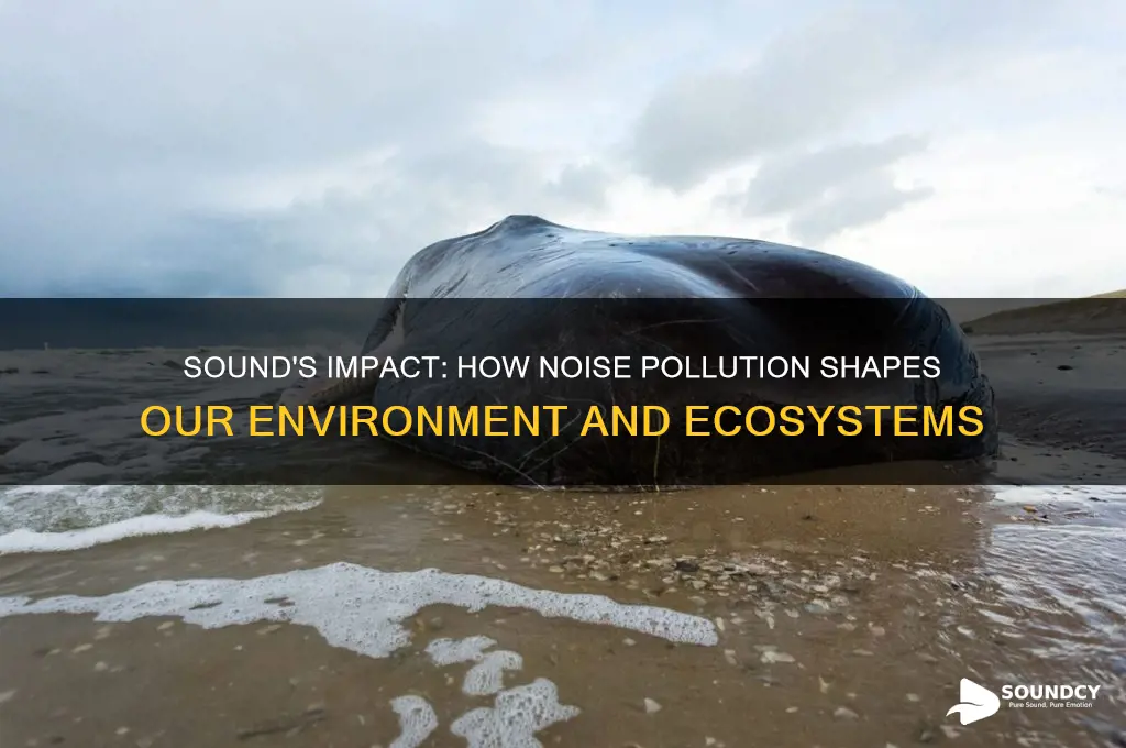 how does sound affect the environment