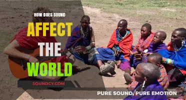 Sound's Global Impact: Shaping Nature, Culture, and Human Experience