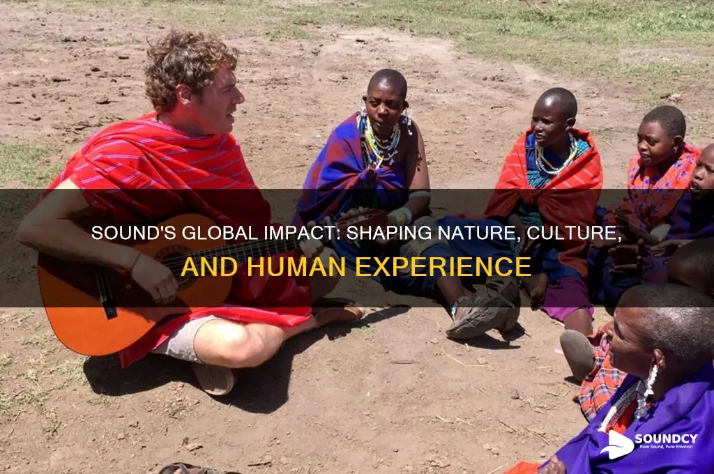 how does sound affect the world