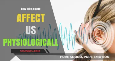 The Surprising Ways Sound Influences Our Bodies and Minds