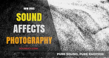 Sound Waves and Shutter Speeds: Exploring Audio's Impact on Photography