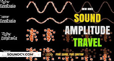 Understanding Sound Amplitude: How Waves Travel and Impact Our Ears