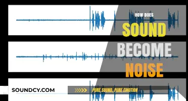 When Sound Turns to Noise: Understanding the Transformation and Impact