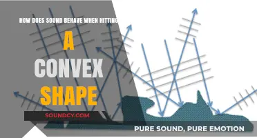 Sound Waves and Convex Surfaces: Reflections, Diffractions, and Behavior Explained