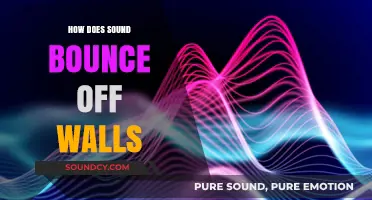 How Sound Waves Reflect: The Science of Echoes and Reverberation