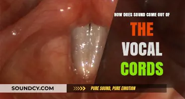 Unveiling the Science: How Vocal Cords Produce Sound Waves