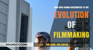 Sound's Impact: Revolutionizing Filmmaking Through Audio Evolution and Innovation