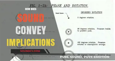 How Sound Shapes Meaning: Unraveling Implications Through Auditory Cues