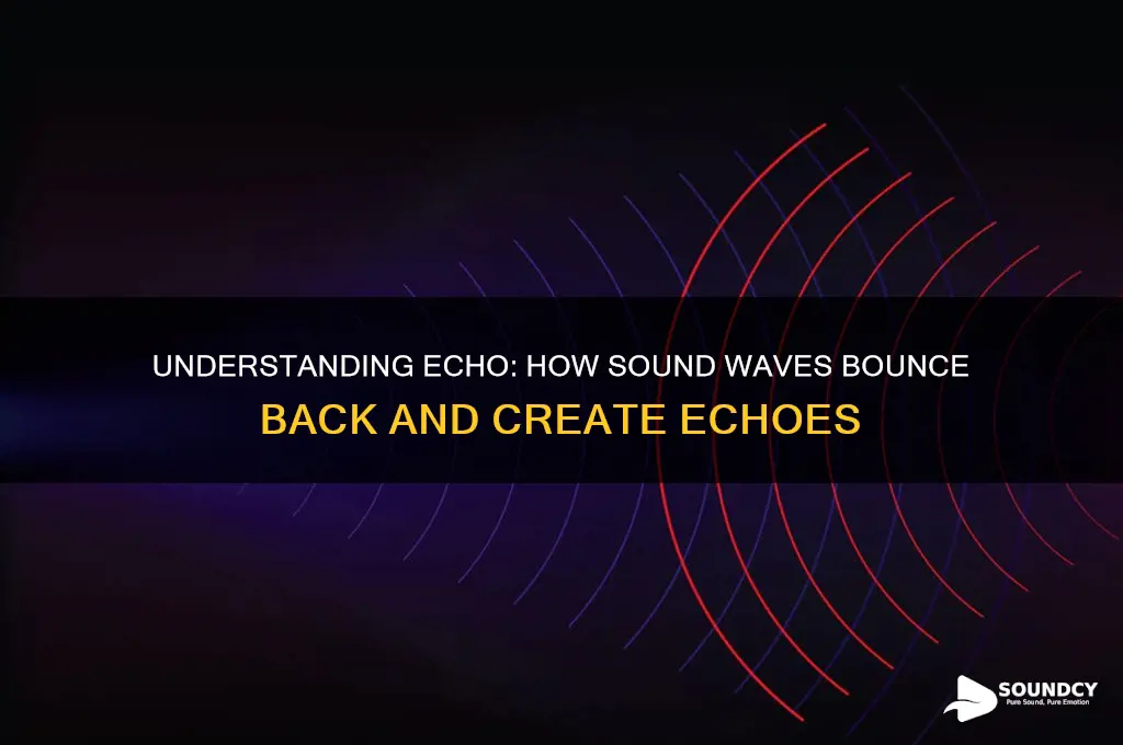 how does sound create an echo