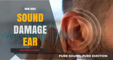 Understanding How Loud Noises and Prolonged Exposure Damage Your Ears