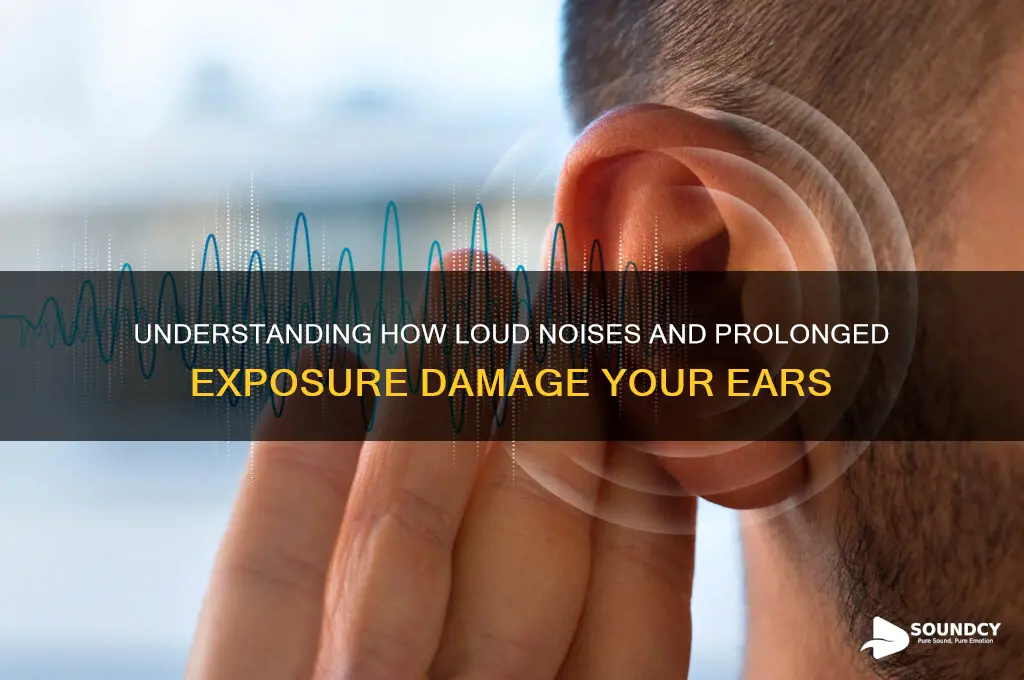 how does sound damage ear
