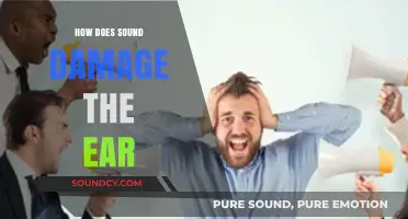 Understanding How Loud Noises Cause Permanent Ear Damage and Hearing Loss