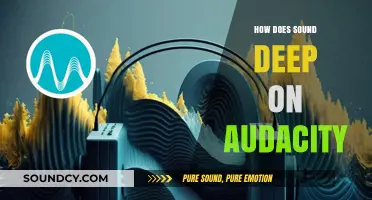 Mastering Audacity: Techniques to Deepen and Enhance Your Audio Sound