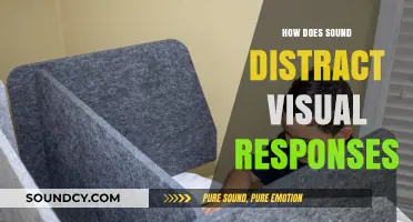 How Sound Interferes with Visual Perception and Response Mechanisms