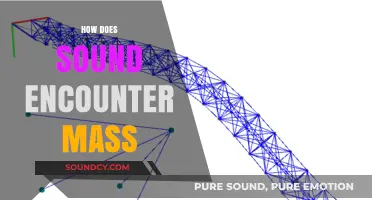 Sound Meets Mass: Exploring the Physics of Acoustic Interactions