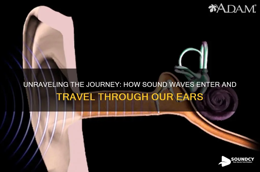how does sound enter our ear