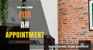 Mastering Appointment Sound: Tips for Clear and Professional Audio Setup