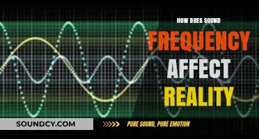 Sound Frequency's Impact: Shaping Reality Through Vibrational Energy and Perception