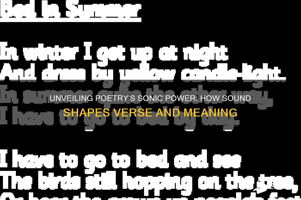 how does sound function in poetry