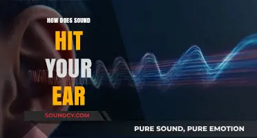 How Sound Waves Travel and Reach Your Ear: A Journey Explained