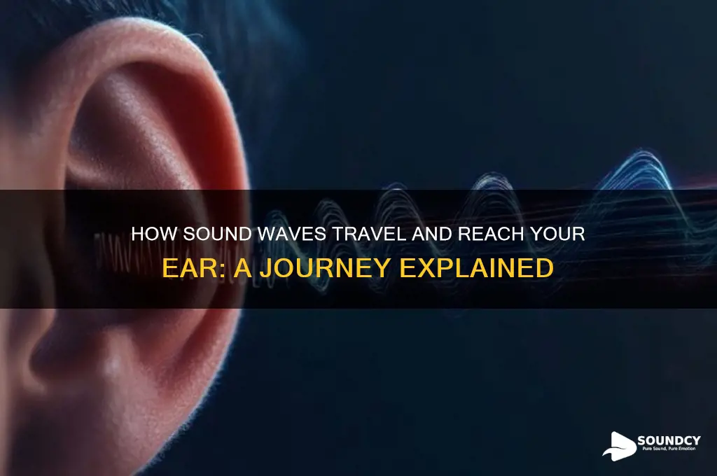 how does sound hit your ear