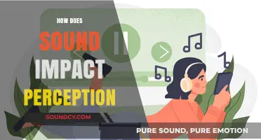 How Sound Shapes Our Perception: The Power of Auditory Influence