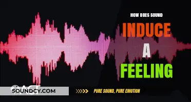 The Emotional Power of Sound: How Audio Shapes Our Feelings