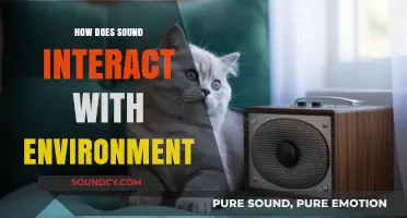Exploring Sound's Dynamic Interaction with Natural and Urban Environments