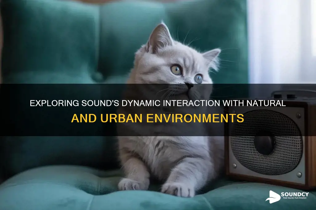 how does sound interact with environment
