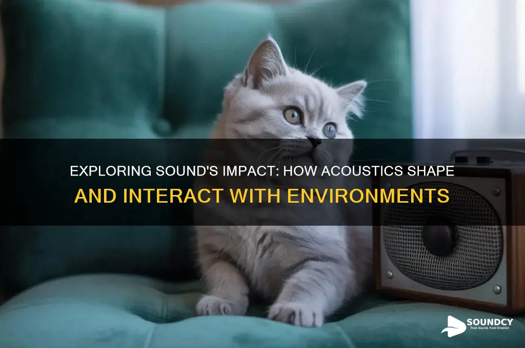 how does sound interaft with environment