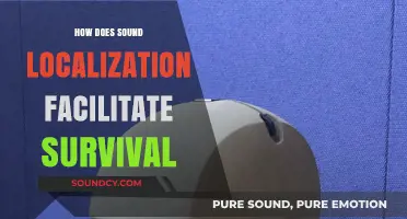 Sound Localization: A Vital Survival Skill in Nature's Complex World