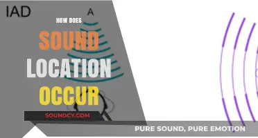 Unraveling the Science Behind How We Locate Sound Sources