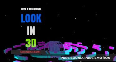Visualizing Soundscapes: Exploring the 3D Aesthetics of Acoustic Phenomena