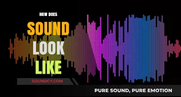 Visualizing Sound: Unveiling the Invisible Patterns of Audible Waves