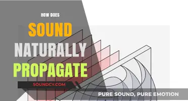 Understanding Natural Sound Propagation: Waves, Mediums, and Energy Transfer