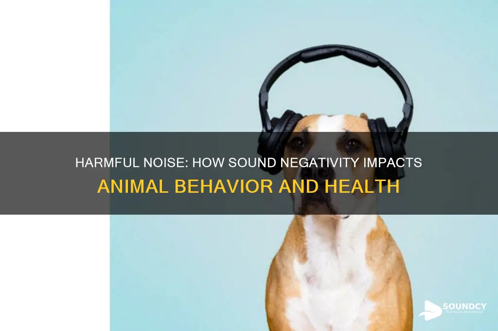 how does sound negativity affect animals