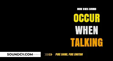 Understanding Speech: How Sound is Produced When We Talk