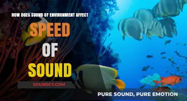 Environmental Sounds: How Ambient Noise Influences Speed of Sound Waves