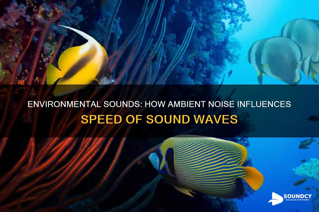 how does sound of environment affect speed of sound