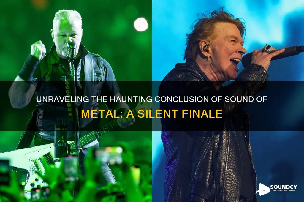 how does sound of metal end