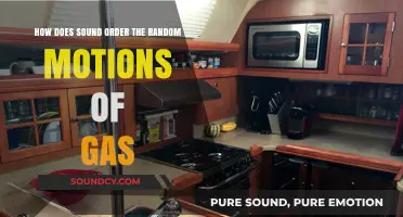 Sound's Surprising Role in Organizing Chaotic Gas Motions Explained