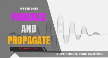 Understanding Sound Production and Propagation: A Comprehensive Guide