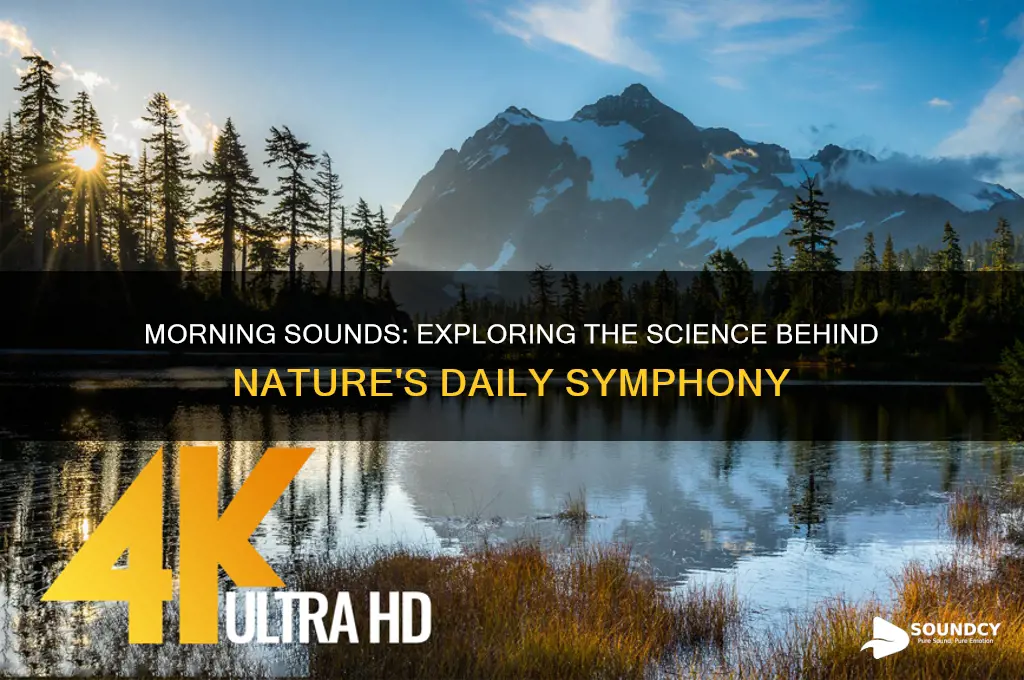 how does sound produce during morning